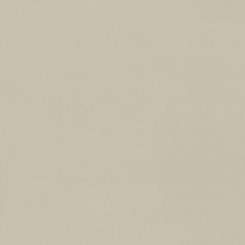 7315-15 Обои &quot;EuroDecor&quot; 10х1,06м компактный винил на флизелине Stronghold: фотография 1