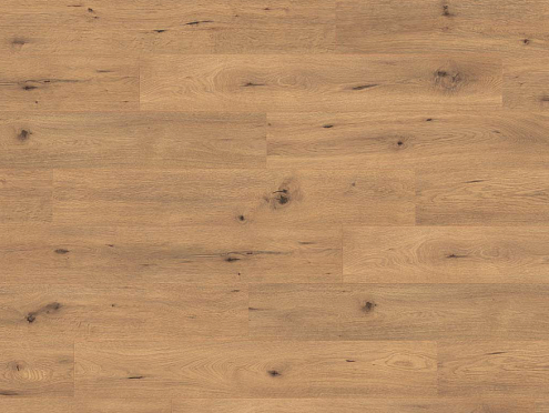 Ламинат Egger  Classic Pro 33 класс 10мм  4V Дикий дуб натуральный : фотография 1