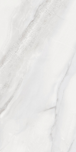 Керамогранит 60х120 Santana светло-серый GT1206016106MDR : фотография 1