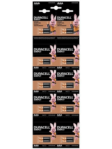Элемент питания AAA/LR03-2BL Basic 2х10 5011646 (блист.20шт) Duracell Б0051816: фотография 1