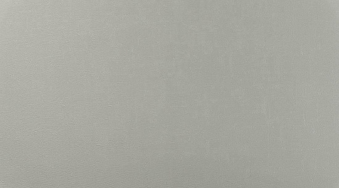 70696-85 Обои "Аспект" 10х1,06м компакт винил на флизелине Виола : фотография 1
