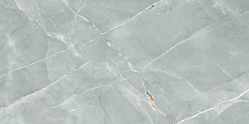 Керамогранит Royce William Grey 60х120 Polished R_PR2019 : фотография 1