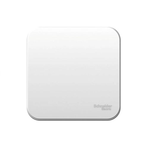 Выключатель 1-кл ОП Blanca 10А IP20 (сх. 1) 250В с металлической пластиной белый SE BLNVA101021: фотография 1