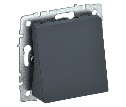 Вывод кабеля BRITE МВ10-БрГ механизм графит IEK BR-VK10-0-K53: фотография 1