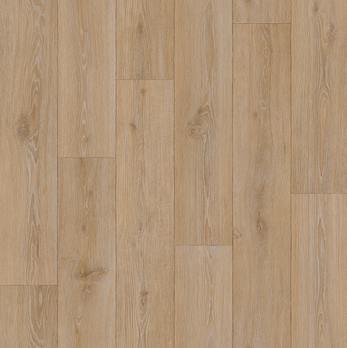 Линолеум Status Rational 1  1,5м : фотография 1