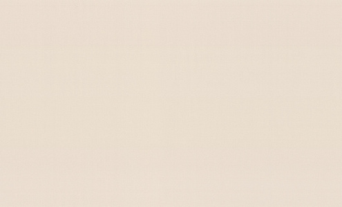 72251-42TC Обои "Trend Color" 10х1,06м компакт винил на флизе Trend Archway : фотография 1