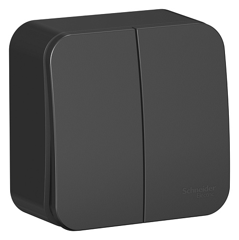 Выключатель 2-клавишный Blanca 10А IP20 (сх.5) 250В с изолирующей пластиной антрацит Systeme Electric BLNVA105016: фотография 1