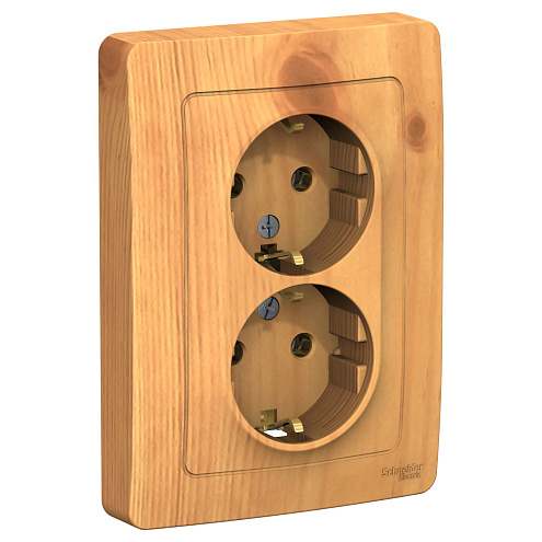 Розетка 2-м СП Blanca 16А IP20 250В с заземл. без защ. шторок ясень SchE BLNRS001025: фотография 1